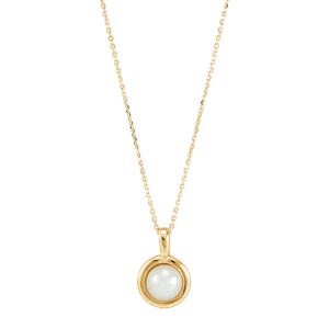 Gold plated Wisdom Amulet Gold plated Wisdom Amulet