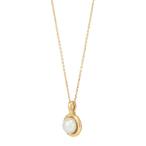 Gold plated Wisdom Amulet Gold plated Wisdom Amulet